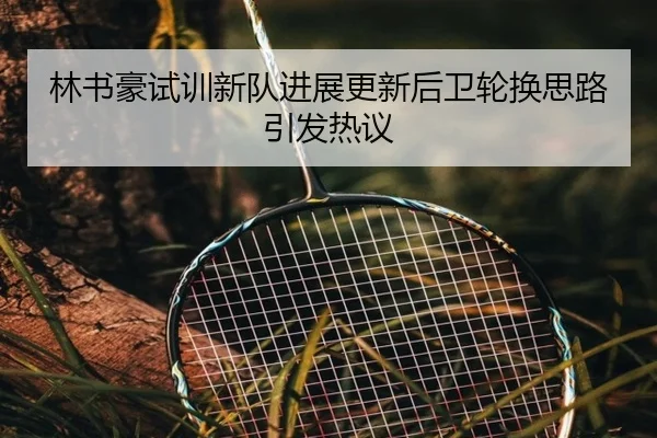 林书豪试训新队进展更新后卫轮换思路引发热议